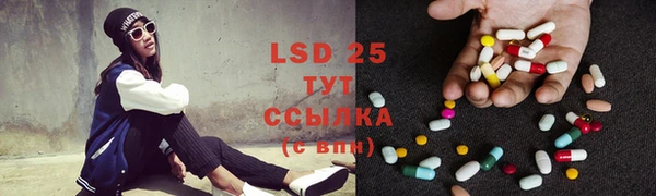 молекула духа Пересвет