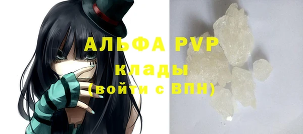 индика Абаза