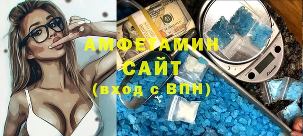 молекула духа Пересвет