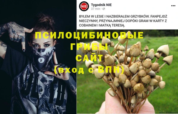 индика Абаза