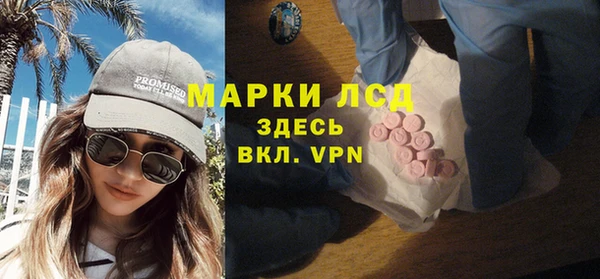 индика Абаза