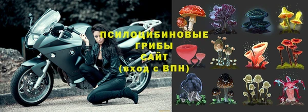 ALPHA-PVP Пестово