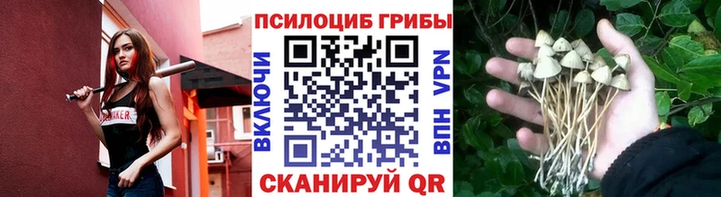 Псилоцибиновые грибы ЛСД  OMG сайт  Анапа 